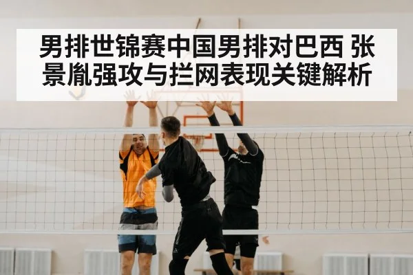 volleyball block net