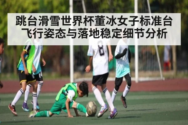 跳台滑雪世界杯董冰女子标准台飞行姿态与落地稳定细节分析